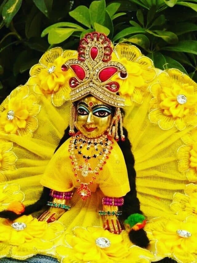 Laddu Gopal: लड्डू गोपाल को रात में भोग लगाएं ये चीज, घर में बरकरार रहेगी सुख-समृद्धि