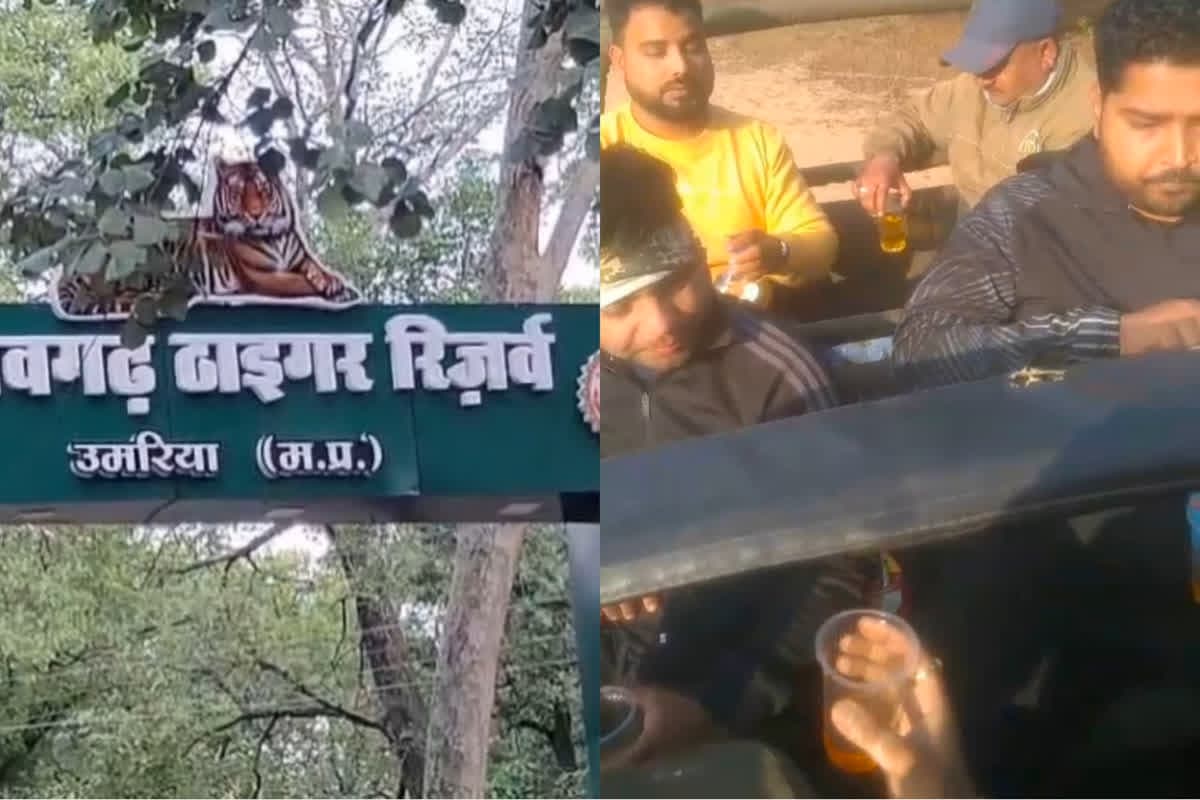 Sharab Party Bandhavgarh Tiger Reserve: टाइगर रिजर्व में पर्यटकों ने खुलेआम किया ऐसा काम, वीडियो वायरल होते ही मचा हड़कंप, ड्राइवर और गाइड को नोटिस