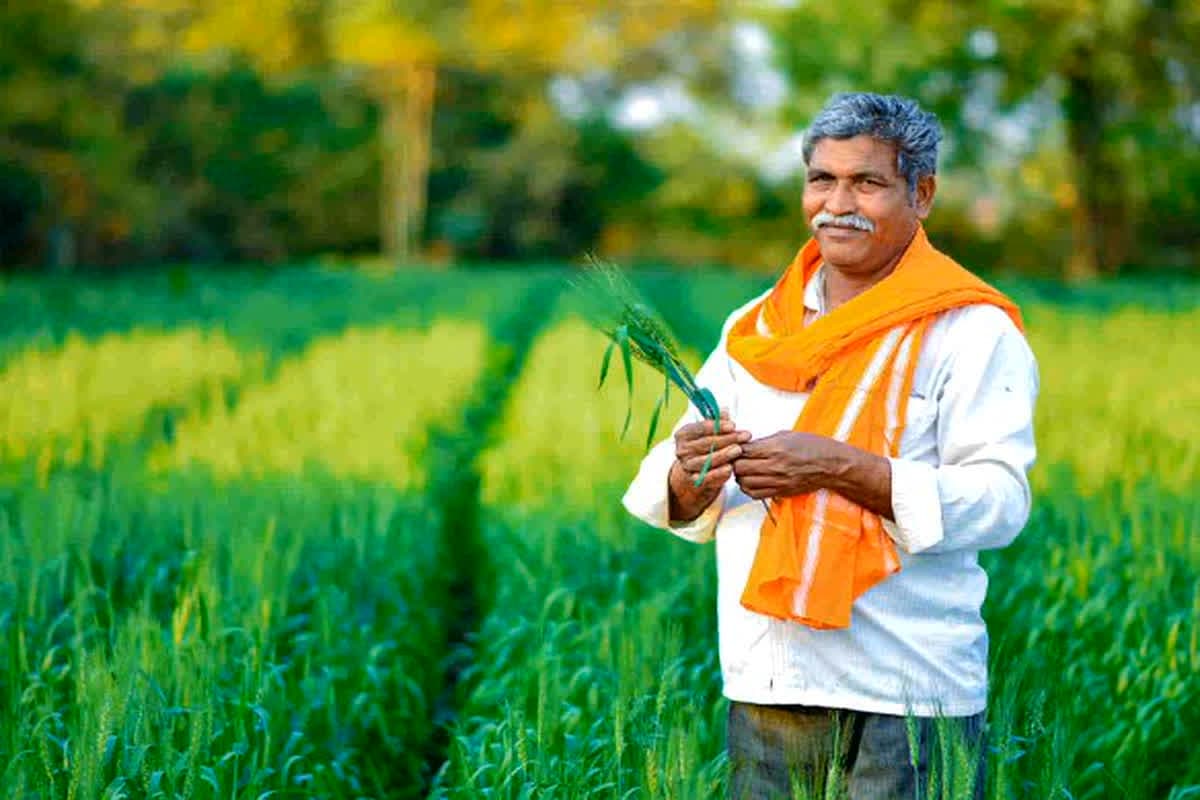 Kisan Karj Mafi Yojana 2025: 4 करोड़ किसानों की होगी कर्जमाफी…मोदी सरकार ने किया ऐलान? संसद के बजट सत्र के दौरान आई बड़ी खबर की क्या है सच्चाई