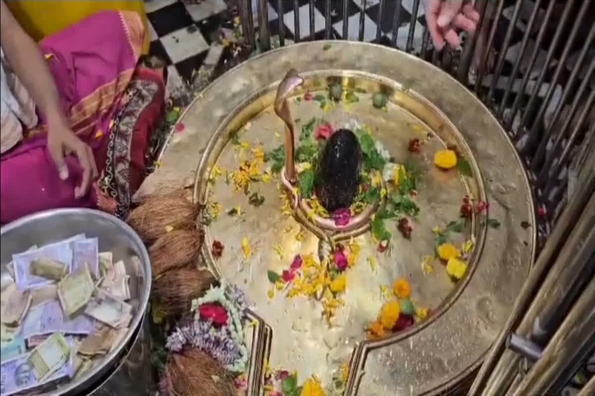 MahaShivratri Omkareshwar Temple : महाशिवरात्रि पर हर-हर महादेव से गूंजे मंदिर, ओंकारेश्वर में द्वादश ज्योतिर्लिंग के दर्शन के लिए उमड़ा आस्था का सैलाब
