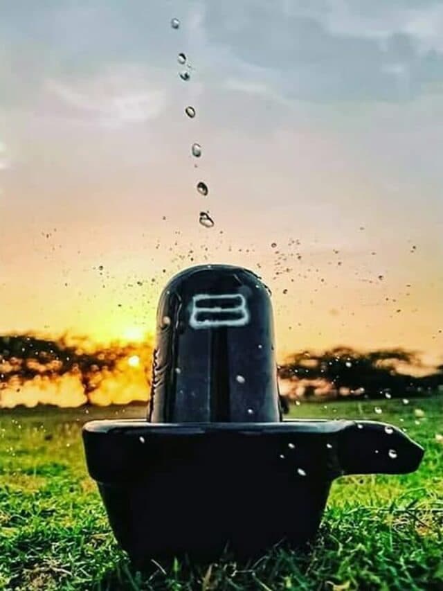 Maha Shivratri 2025: इस महाशिवरात्रि पर करें ये उपाय, भगवान भोलेनाथ के आशीर्वाद से बढ़ेगी सुख-समृद्धि