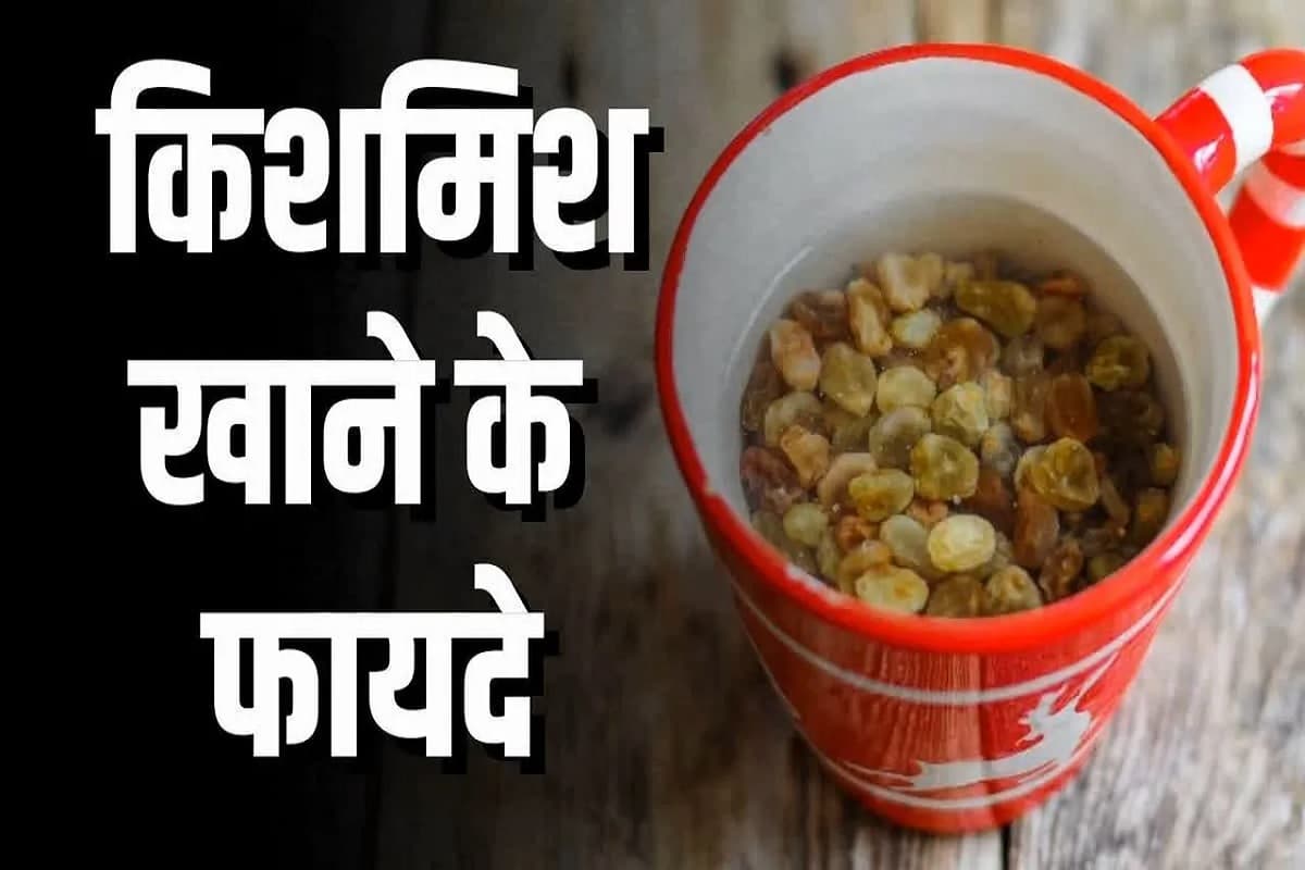 Kishmish Khane Ke Fayde: रोजाना दूध में मिलाकर खाएं किशमिश! शरीर पर दिखेगा निखार, मिलेंगे ये गजब के फायदे