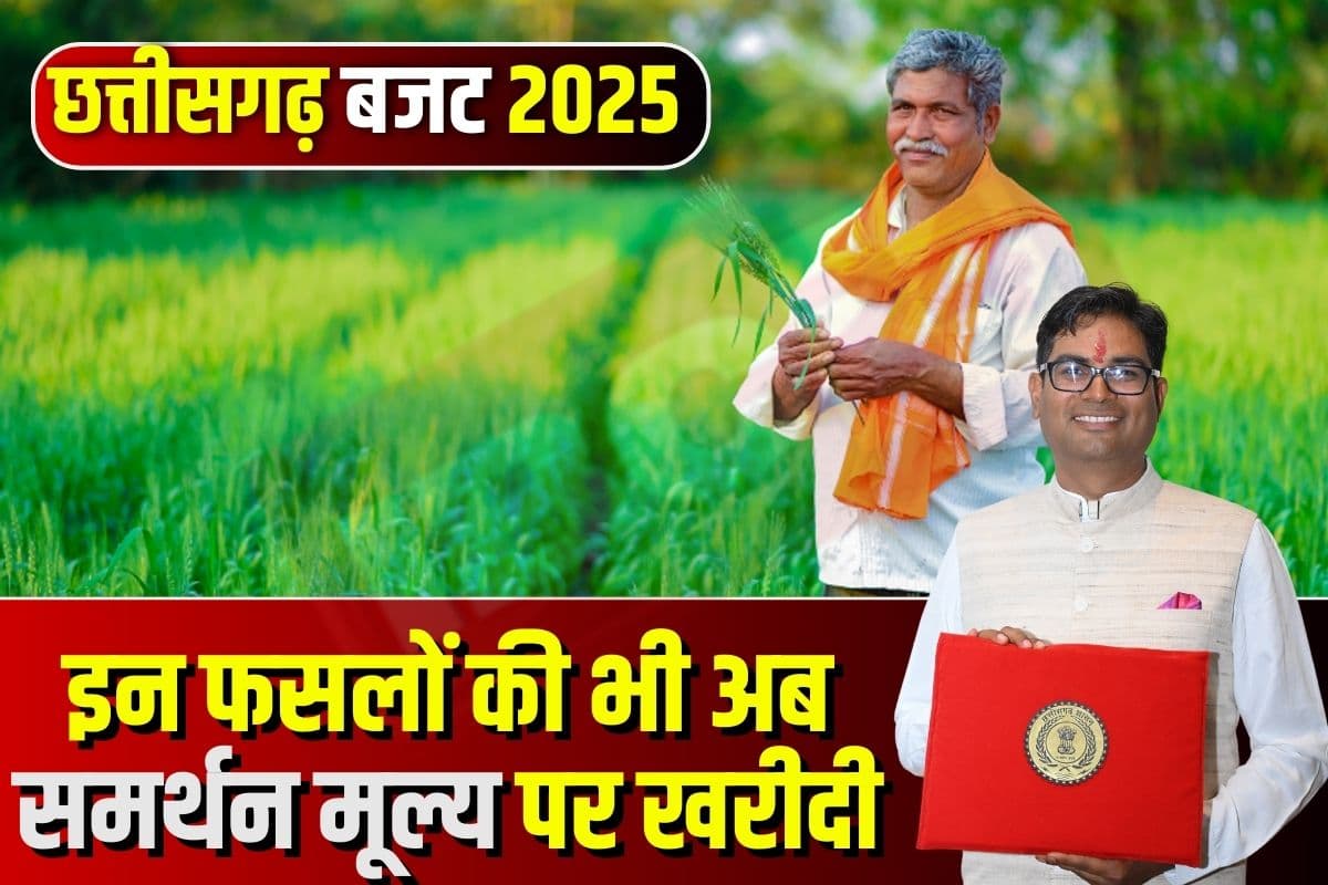 CG Budget for MSP : किसानों को साय सरकार का तोहफा, अब इन फसलों की भी MSP पर होगी खरीदी, वित्त मंत्री ओपी चौधरी ने किया ऐलान