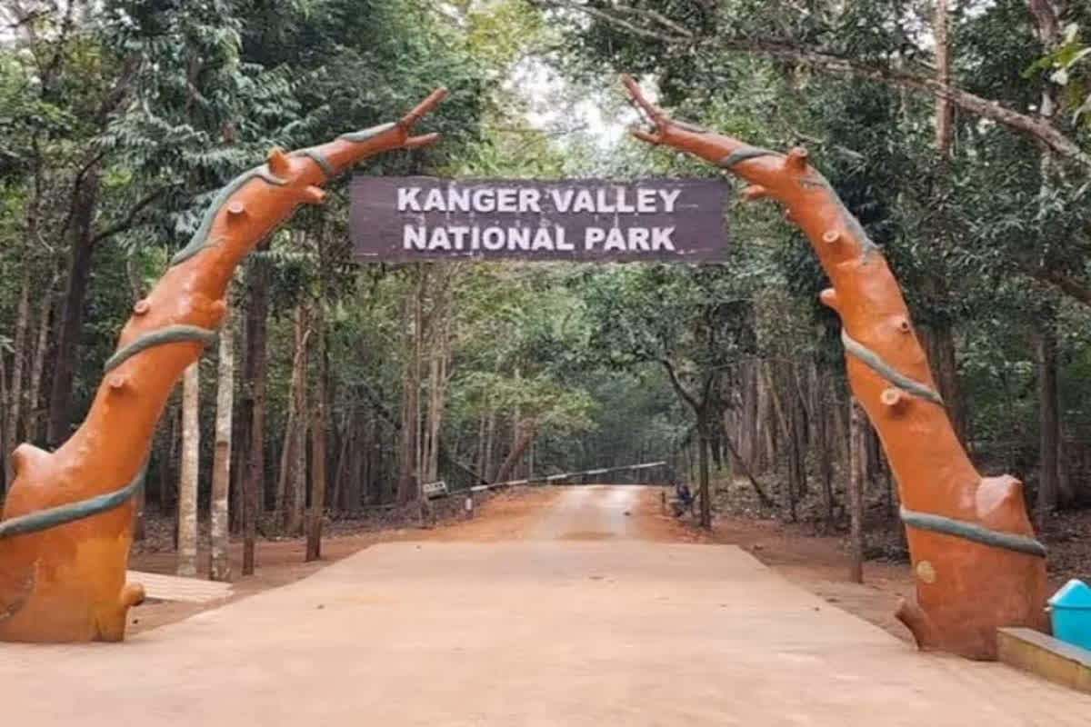 Kanger Valley in UNESCO Tentative List: प्रदेश के लिए ऐतिहासिक पल.. यूनेस्को की सूची में शामिल होने वाला राज्य का पहला स्थान बना कांगेर घाटी, टेंटेटिव लिस्ट में बनाई जगह