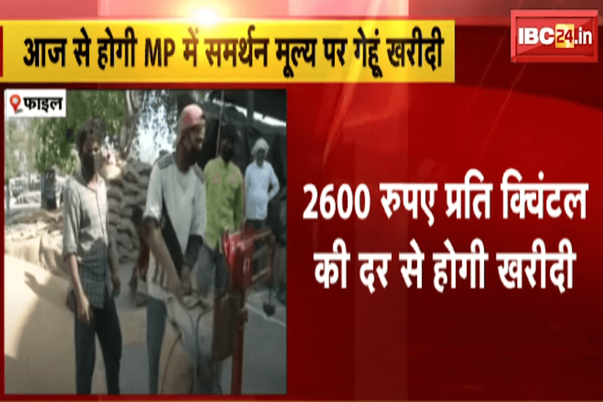 MP Gehu Kharidi 2025: MP में आज से MSP पर होगी गेहूं खरीदी, राज्य सरकार देगी इतने रुपए बोनस, किसानों को मिलेगी ये खास सुविधा