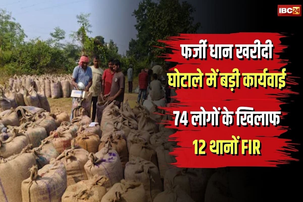 Dhan Scam in Jabalpur: धान खरीदी घोटाला, 74 लोगों के खिलाफ 12 थानों में दर्ज हुई FIR, कलेक्टर ने की बड़ी कार्रवाई