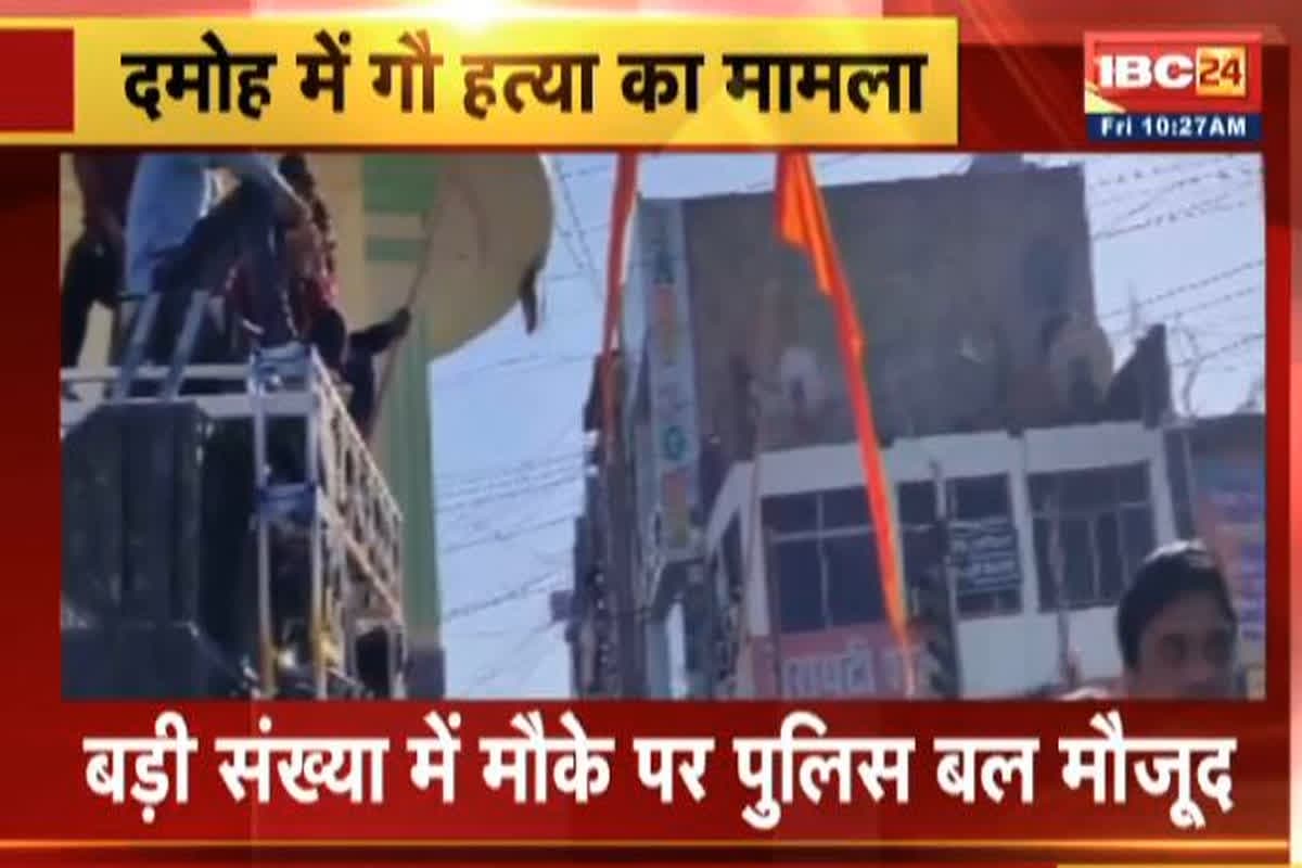 Cow Slaughter in Damoh: गौहत्या करते हुए रंगे हाथों पकड़ाएं आरोपी, हिंदू संगठनों ने किया जिला बंद का ऐलान