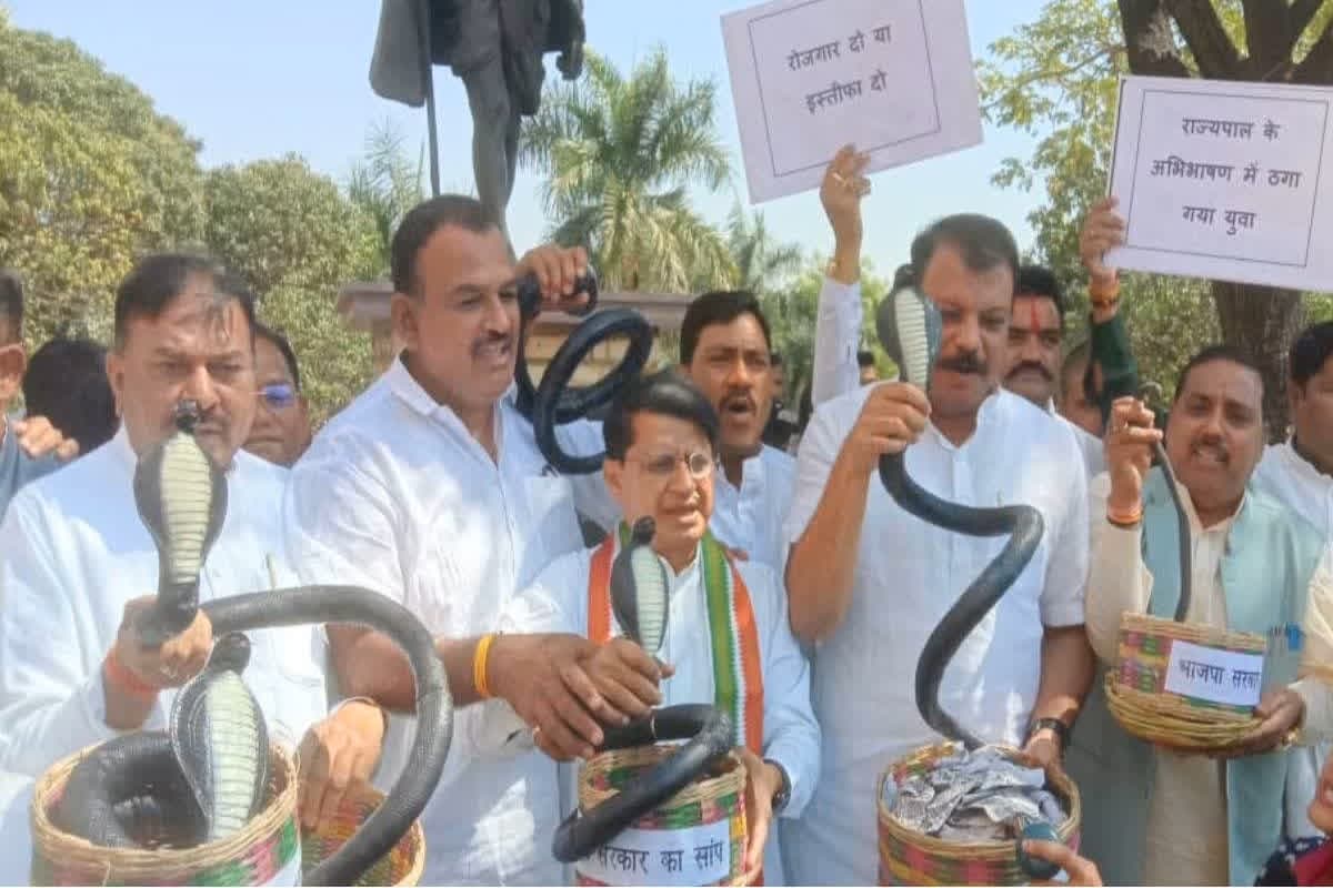 Umang Singhar Statement: ‘युवाओं के रोजगार पर सांप की तरह कुंडली मार कर बैठ चुकी है सरकार..’! नेता प्रतिपक्ष उमंग सिंघार ने बीजेपी पर जमकर साधा निशाना