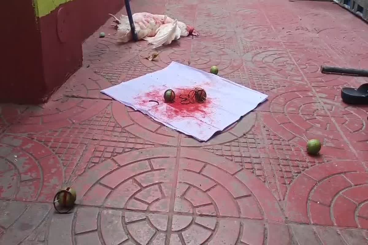 Bhilai Jadu-Tona Video: नवरात्रि के बीच जादू-टोना.. इस इरादे से घर के सामने फेंका मरा हुआ मुर्गा, सिंदूर और नींबू, फिर पेट्रोल डालकर लगाई आग