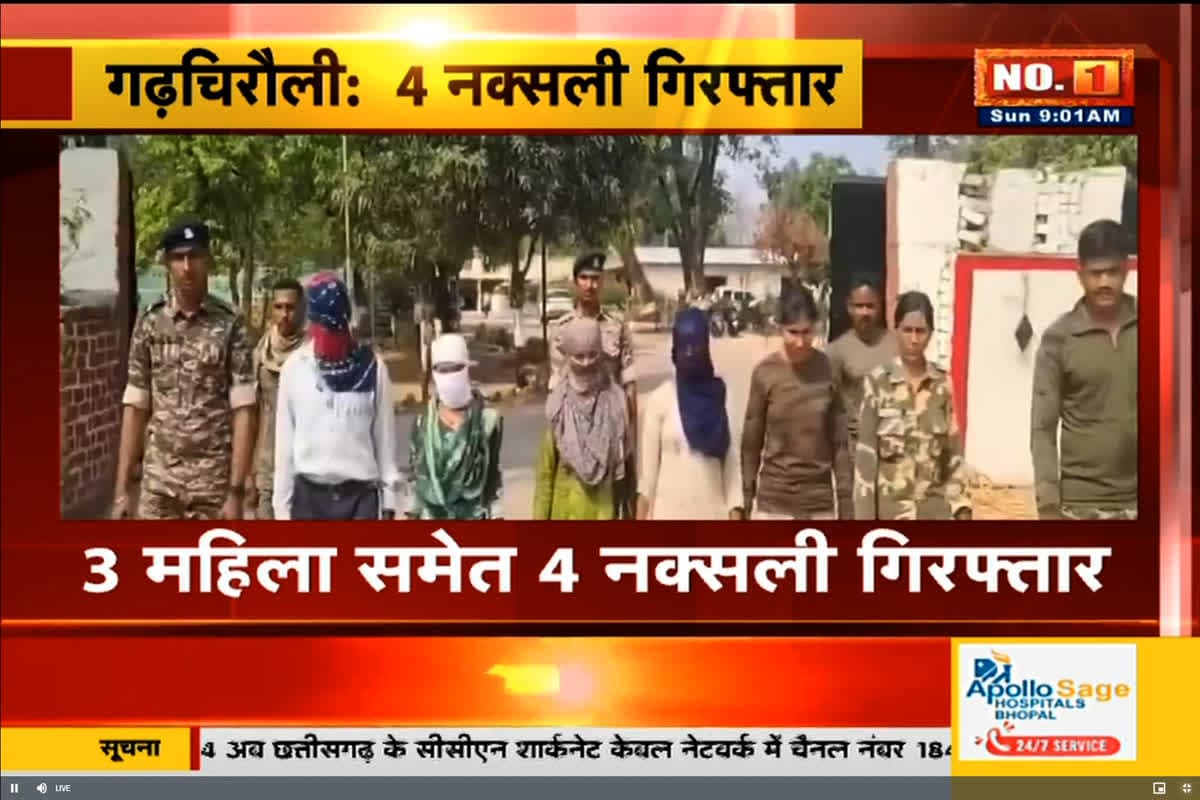 Gadchiroli Naxal Arrested News: नक्सल संगठन को करारा झटका! 40 लाख इनामी नक्सली दंपति समेत चार नक्सली गिरफ्तार, सी-60 कमांडो की हत्या में थे शामिल