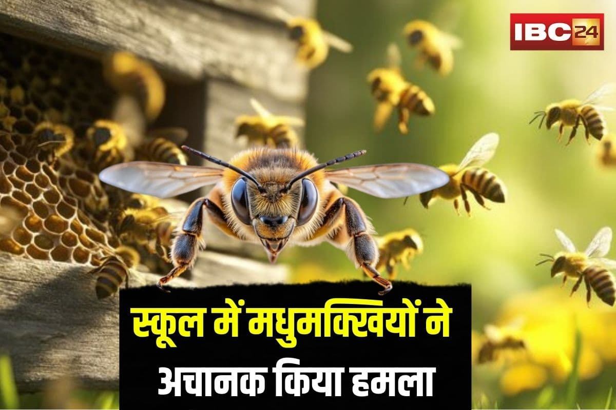 Gariaband School Bee Attack: छत्तीसगढ़ के इस स्कूल में मधुमक्खियों ने अचानक किया हमला, कई छात्र-छात्राएं घायल, अस्पातल में भर्ती