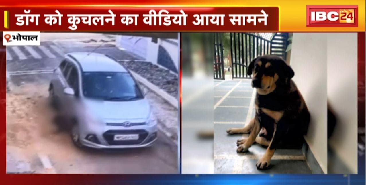 Bhopal News : रेलवे कर्मचारी ने पड़ोसी के डॉग को कुचला | VIDEO आया सामने | देखिए