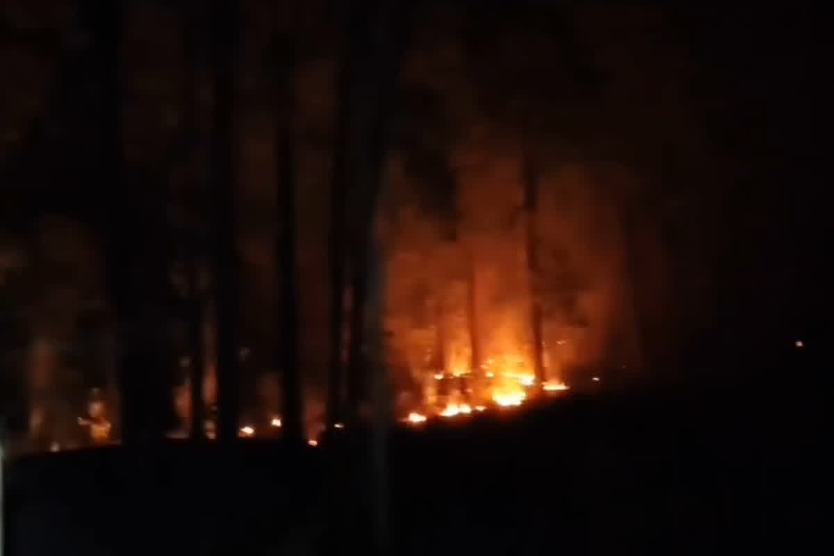 Sanjay Tiger Reserve News: धूं-धूं कर जल रहा टाइगर रिजर्व का जंगल.. लाखों की वन संपदा जलकर राख, जंगल छोड़कर भाग रहे वन्य जीव