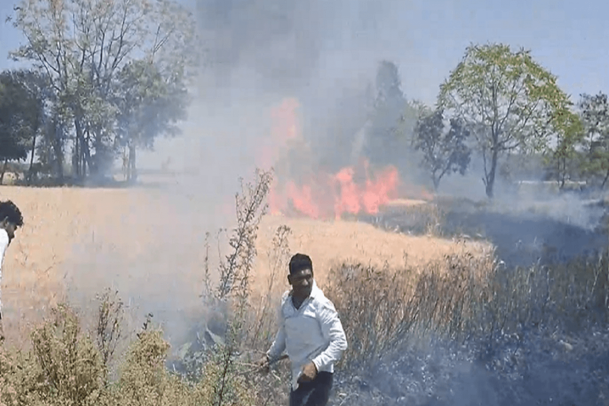Bhopal Fire News: राजधानी में शॉर्ट सर्किट से खेत में लगी आग, 15 एकड़ की गेहूं की फसल जलकर राख