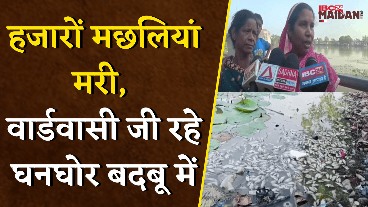 Bhatapara: कल्याण सागर तालाब में हजारों मछलियां मरी। वार्डवासी जी रहे घनघोर बदबू में |
