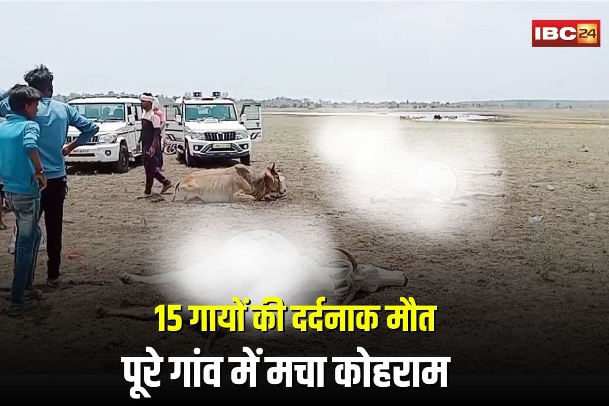 Guna Cow Death Case: जहरीले चारे से 15 गायों की दर्दनाक मौत, पूरे गांव में मचा कोहराम