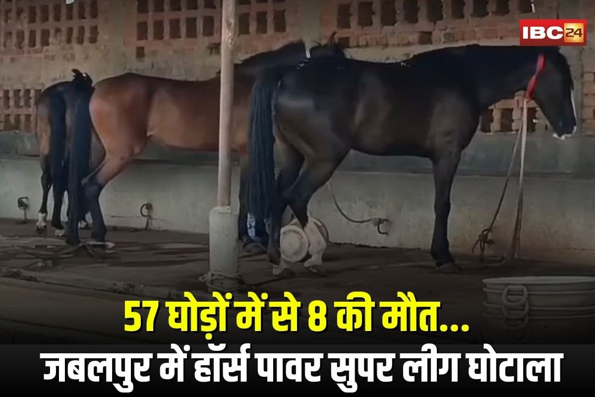 Jabalpur Horse Death News: 57 घोड़ों में से 8 की मौत… फार्म हाउस पर हॉर्स पावर सुपर लीग के सट्टेबाजी घोटाले का गंभीर आरोप