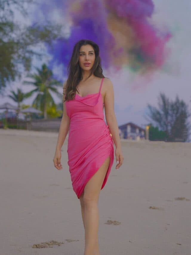 Sophie Choudry Beach Look: बॉलीवुड डीवा Sophie Choudry ने समंदर किनारे ढाया कहर, पिंक ड्रेस में दिखाई कातिलाना अदाएं
