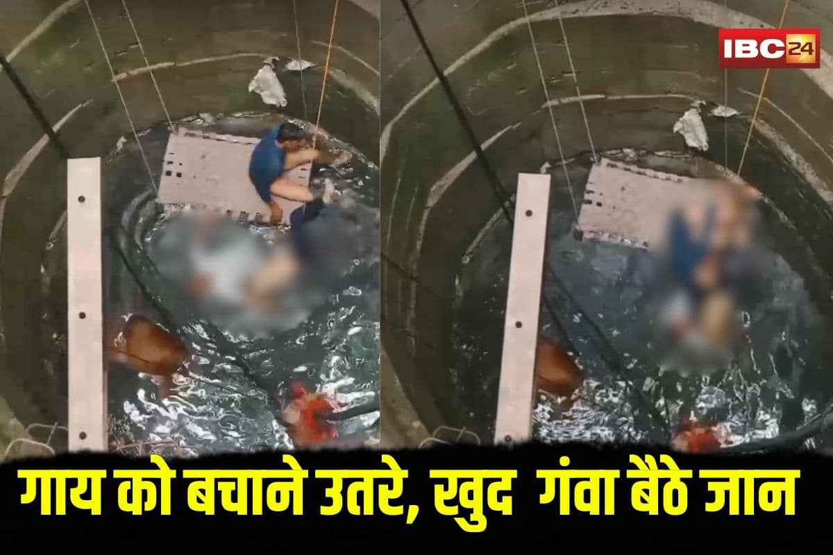 Guna Well Accident: गाय को बचाने उतरे, खुद गंवा बैठे जान.. गुना में कुएं में दम घुटने से 5 की मौत, लाइव वीडियो आया सामने