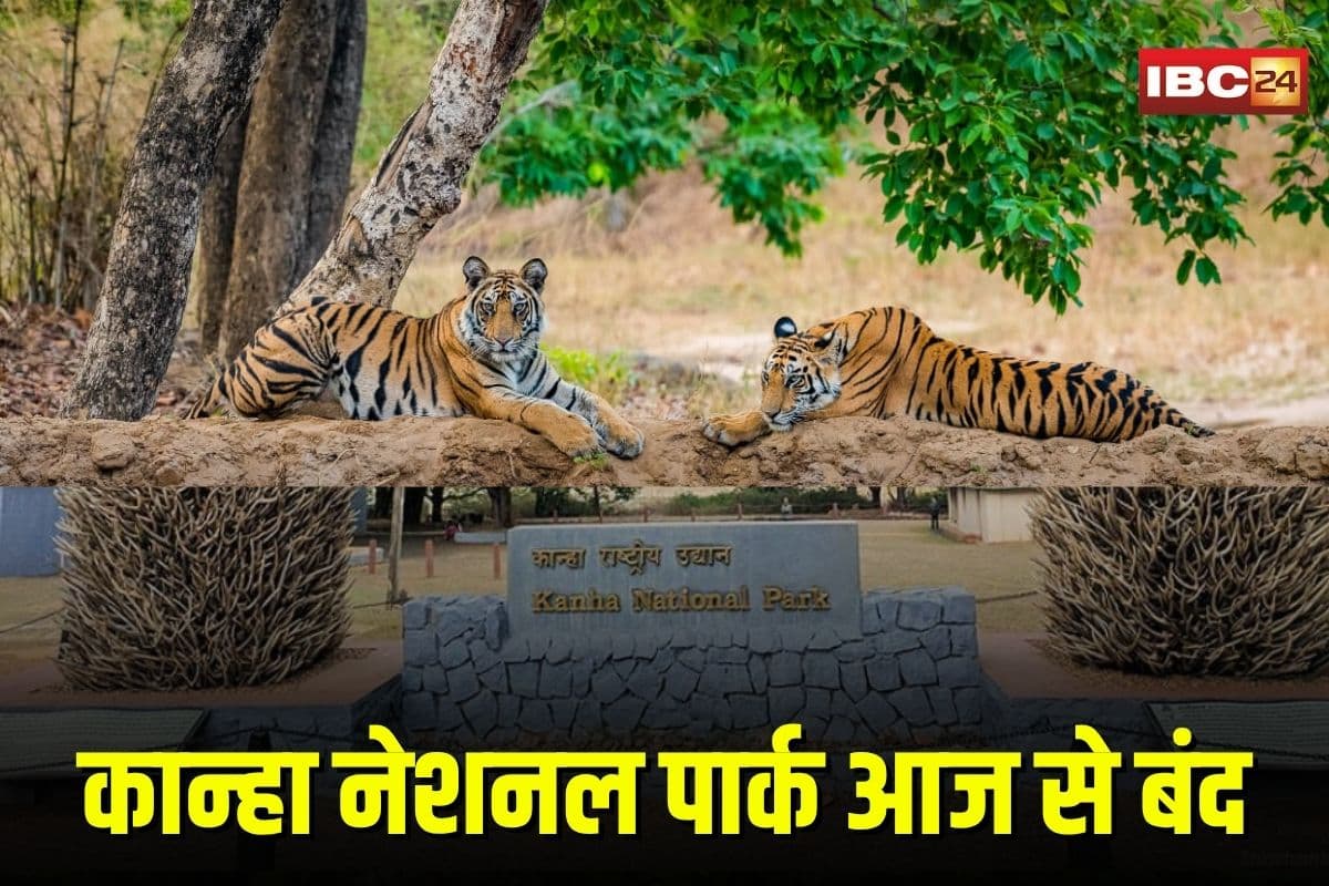 Kanha National Park: कान्हा नेशनल पार्क आज से बंद, बफर जोन में जारी रहेगा सफारी का रोमांच, इस साल पहुँचे 2.58 लाख पर्यटक