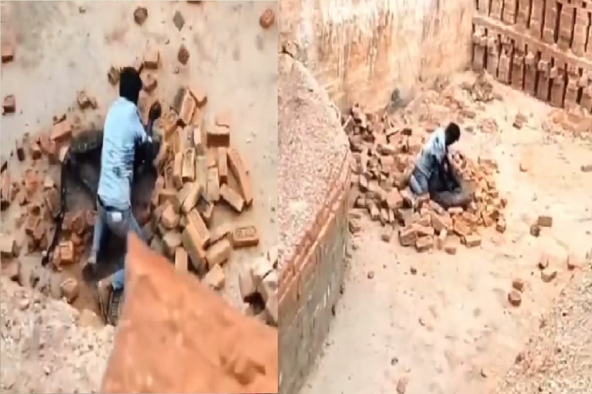Viral Video: तेंदुए से भिड़ा ईंट भट्ठे का मजदूर, संघर्ष का वीडियो हुआ वायरल, देखकर हैरान हो जाएंगे आप