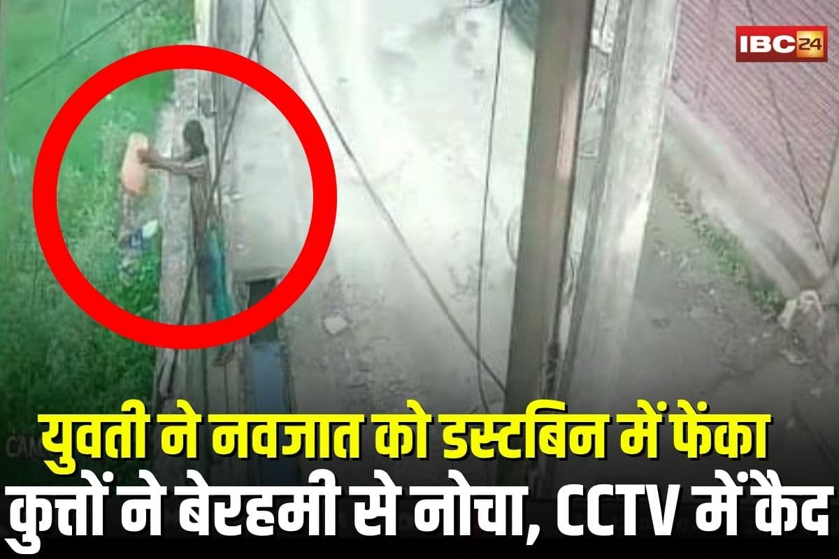 Chhindwara News: निर्ममता की सारी हदें पार! युवती ने नवजात को डस्टबिन में फेंका, कुत्तों ने बेरहमी से नोचा, सीसीटीवी में कैद हुई वारदात