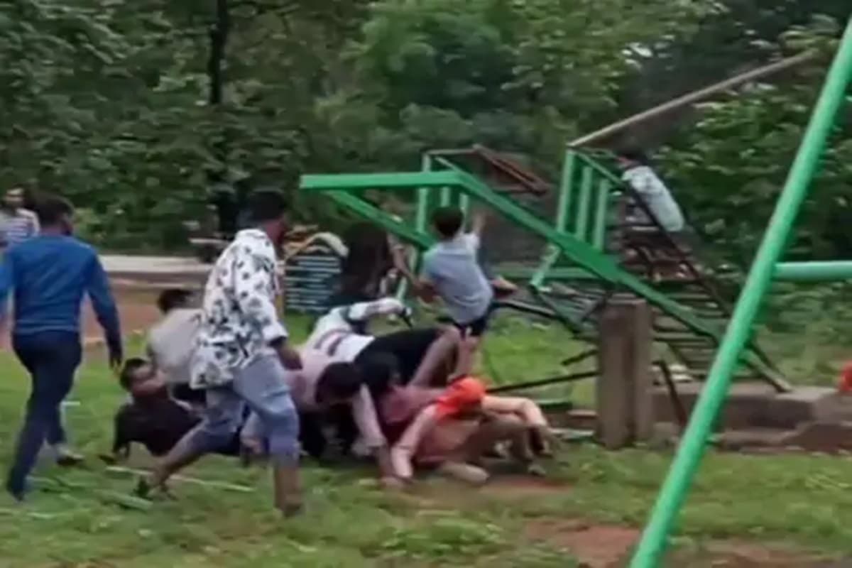 Dhamtari News: धमतरी के नरहरा वाटरफॉल में बड़ा हादसा, अचानक टूटा एडवेंचर रोप-वे झूला, कई लोग जख्मी, देखें वीडियो