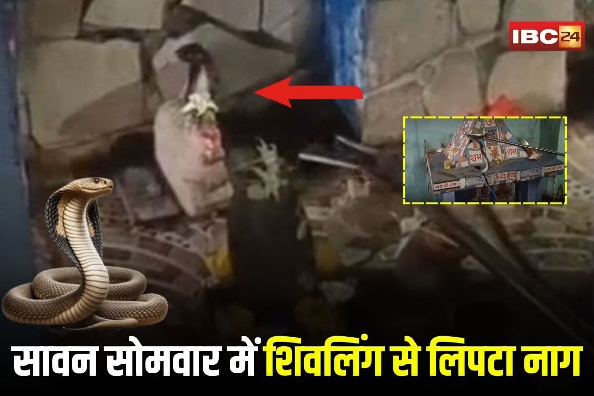 Katni Viral Video: सावन सोमवार पर मंदिर में दिखा चमत्कारी नज़ारा, शिवलिंग से फन फैलाकर लिपटा दिखा नाग, वीडियो हुआ वायरल