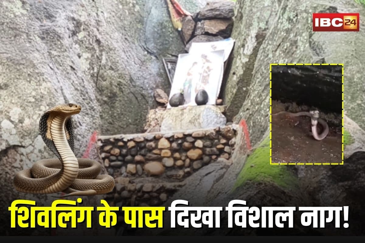 Sawan Somwar 2025: भगवान भोलेनाथ का चमत्कार! सावन के पहले सोमवार को शिवलिंग के पास दिखा विशाल नाग, देखने उमड़ी श्रद्धालुओं की भीड़, वीडियो वायरल