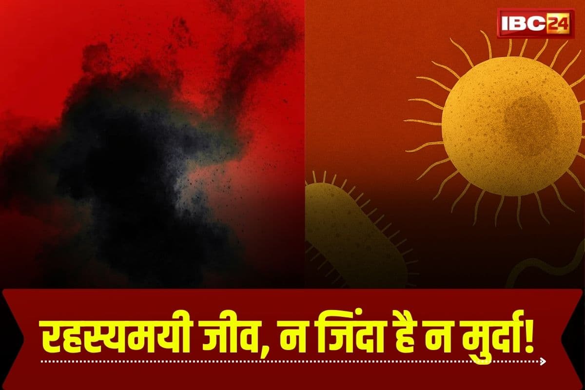 Sukunaarchaeum Mirabile: वैज्ञानिकों ने खोजा रहस्यमयी जीव, न जिंदा है न मुर्दा! जीवन की परिभाषा को देता है सीधी चुनौती, जानिए कितना खतरनाक?