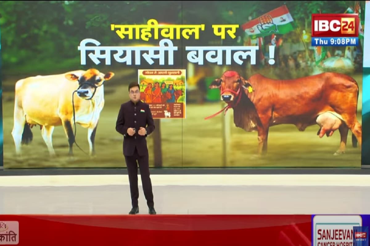 Vande Bharat: ‘साहीवाल’ पर सियासी बवाल! काऊ पॉलिटिक्स..किसे आएगी रास? देखिए पूरी रिपोर्ट