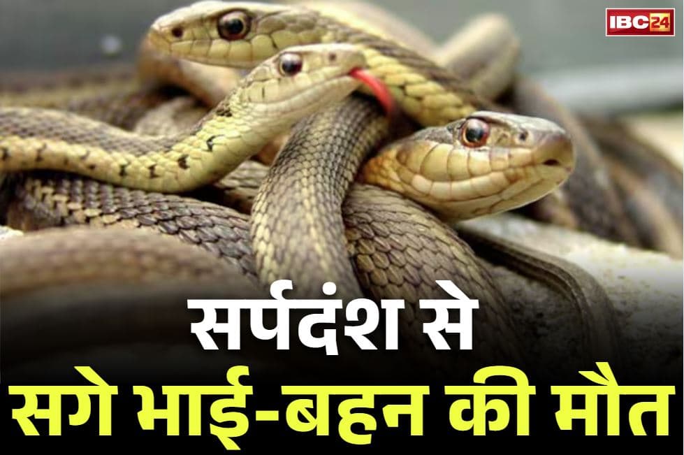 Chhattisgarh Snake Bite News: सर्पदंश से बुझा घर का चिराग.. छत्तीसगढ़ में भाई-बहन की मौत, 7 किलोमीटर दूर था अस्पताल