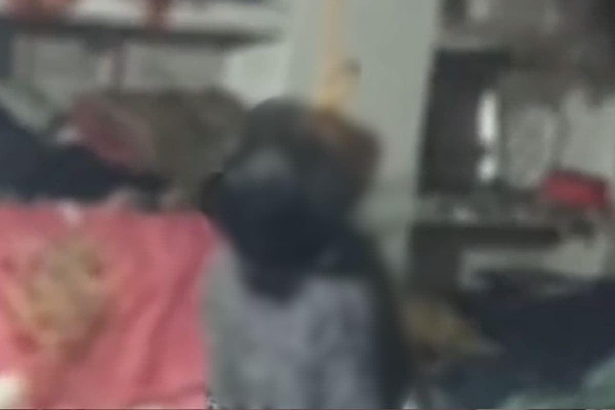 Datia News: रक्षाबंधन पर ससुरालवालों ने मायके जाने से रोका, तो नवविवाहिता ने उठाया ये खौफनाक कदम, जानकर कांप उठी लोगों की रूह