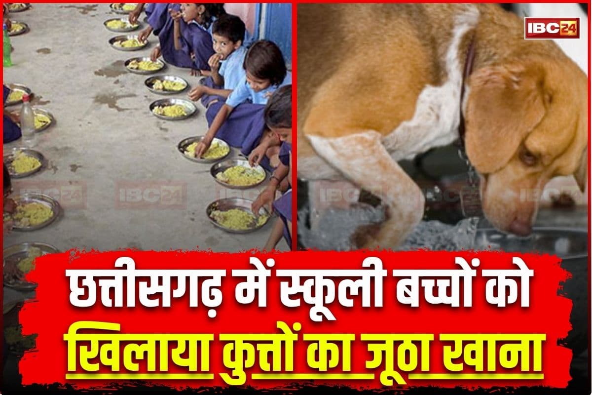 Balodabazar News: ये तो हाल है छत्तीसगढ़ के सरकारी स्कूलों का.. छात्रों को खिलाया कुत्ते का जूठा खाना, रेबीज के डर से इतने बच्चों को लगवाया इंजेक्शन