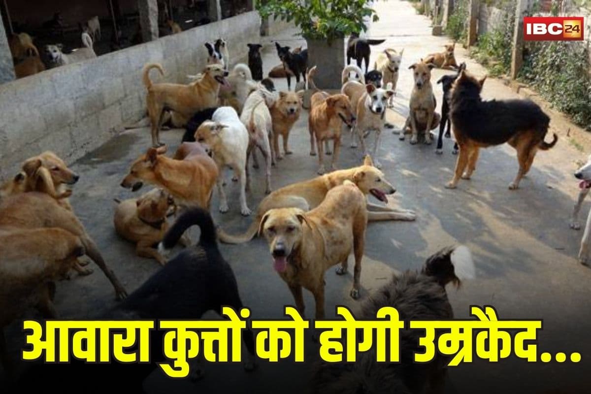 Uttarpradesh News: योगी सरकार का आवारा कुत्तों पर बड़ा फैसला, 2 बार से ज्यदा काटा तो मिलेगी उम्रकैद की सजा