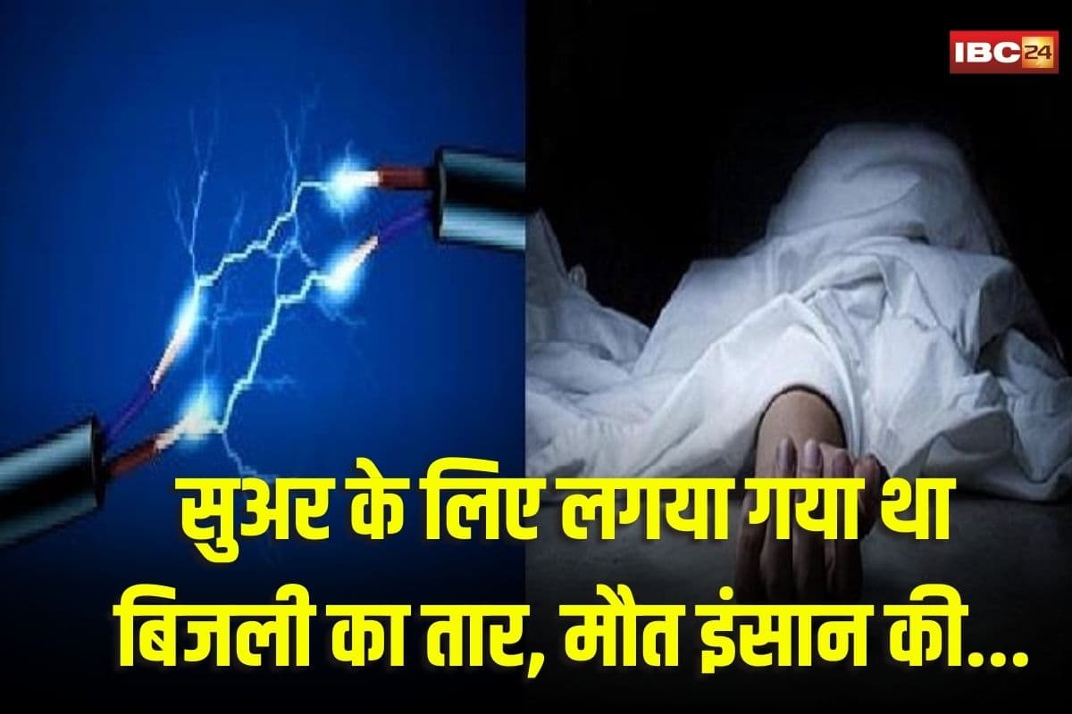 Janjgir News: जंगली सुअर का शिकार करने के लिए बिछाया गया था करंट, सुअर के बदले चपेट में आ गया युवक, हुई मौत