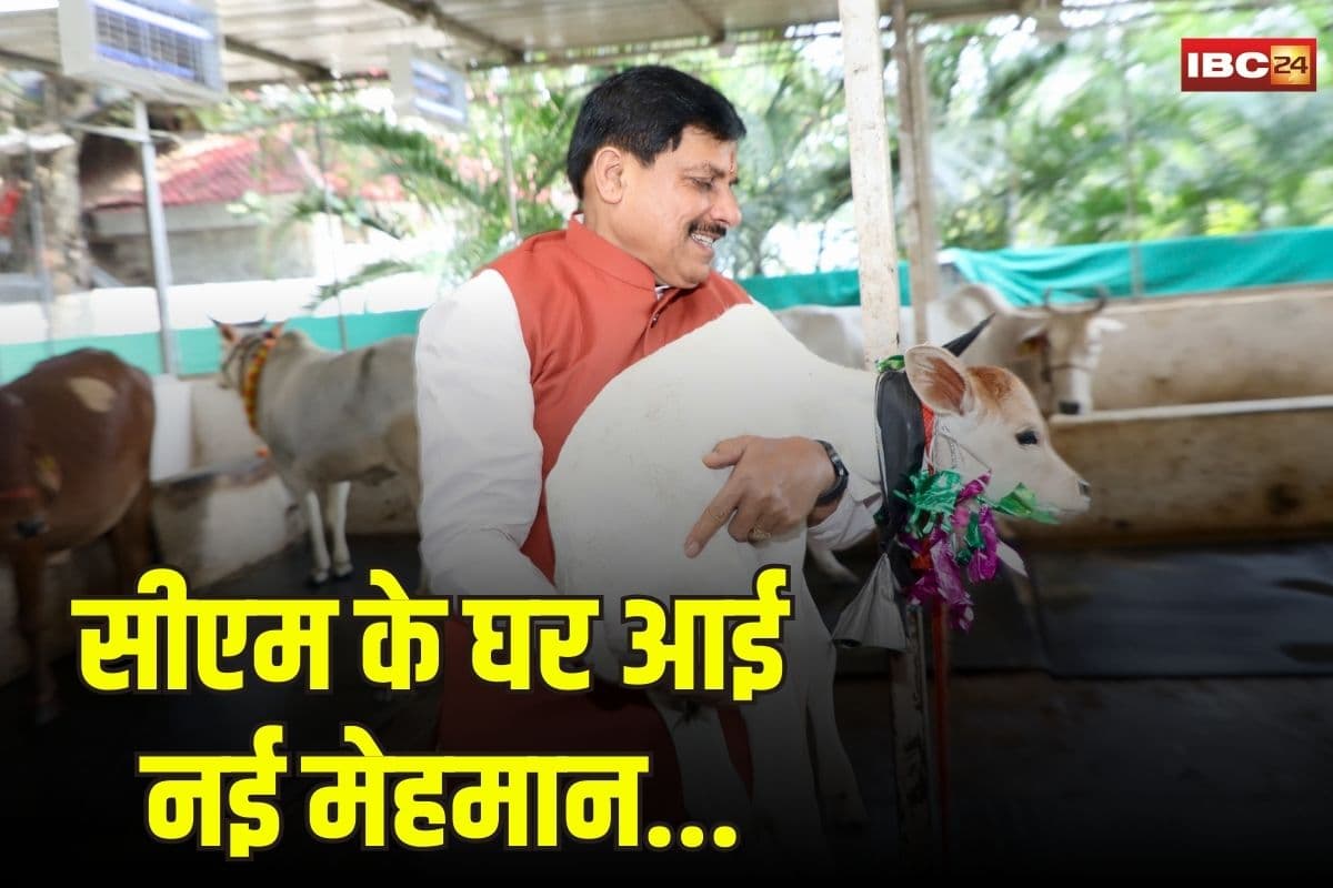 Bhopal News: सीएम मोहन यादव ने महालक्ष्मी व्रत पूजन के दिन की गायों की पूजा, अपने घर ‘कमला’ का किया स्वागत