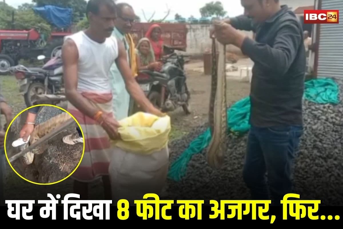 Seoni News: घर में अचानक दिखा 8 फीट का अजगर, इस जगह घुसते ही मचा हड़कंप, फिर जो हुआ देख दंग रह गए लोग