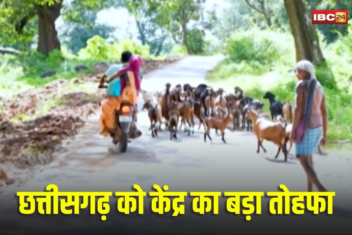 PM-Janman Grameen Sampark Yojana: पीएम-जनमन ग्रामीण संपर्क योजना से बदलेगी छत्तीसगढ़ की तस्वीर.. केंद्र की मोदी सरकार ने मंजूर किये 259 करोड़ रुपये