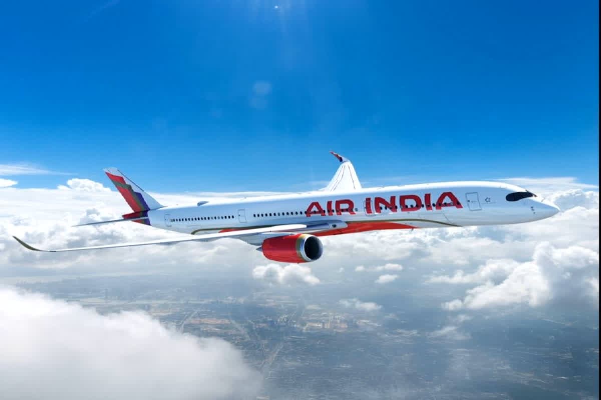 Air India News: उड़ान के बीच कॉकरोच को दी गई फांसी की सजा! Air India की लॉगबुक से हुआ हैरान करने देने वाला खुलासा
