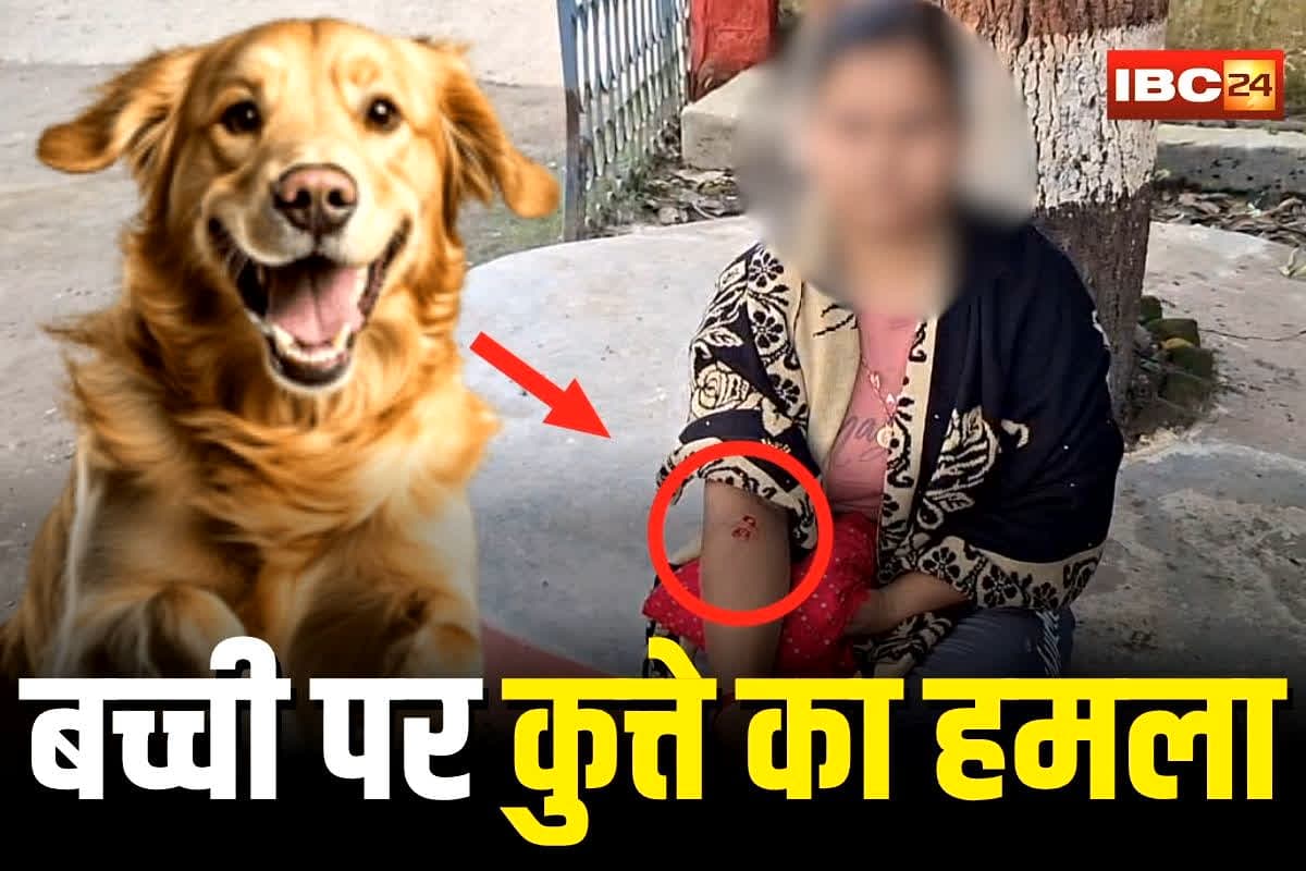 Pathalgaon News: मासूम बच्ची पर पालतू कुत्ते का खौफनाक हमला, मॉर्निंग वॉक पर निकली थी फिर जो हुआ देख कांप उठे लोग, गांव में मचा हड़कंप