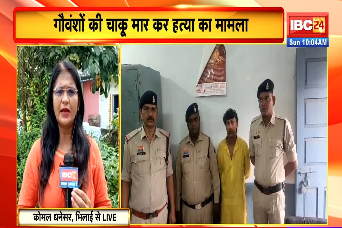 Bhilai Crime News: गौवंश की हत्या करने वाला आरोपी गिरफ्तार, युवक ने किए थे चाक़ू से 50 से ज्यादा वार