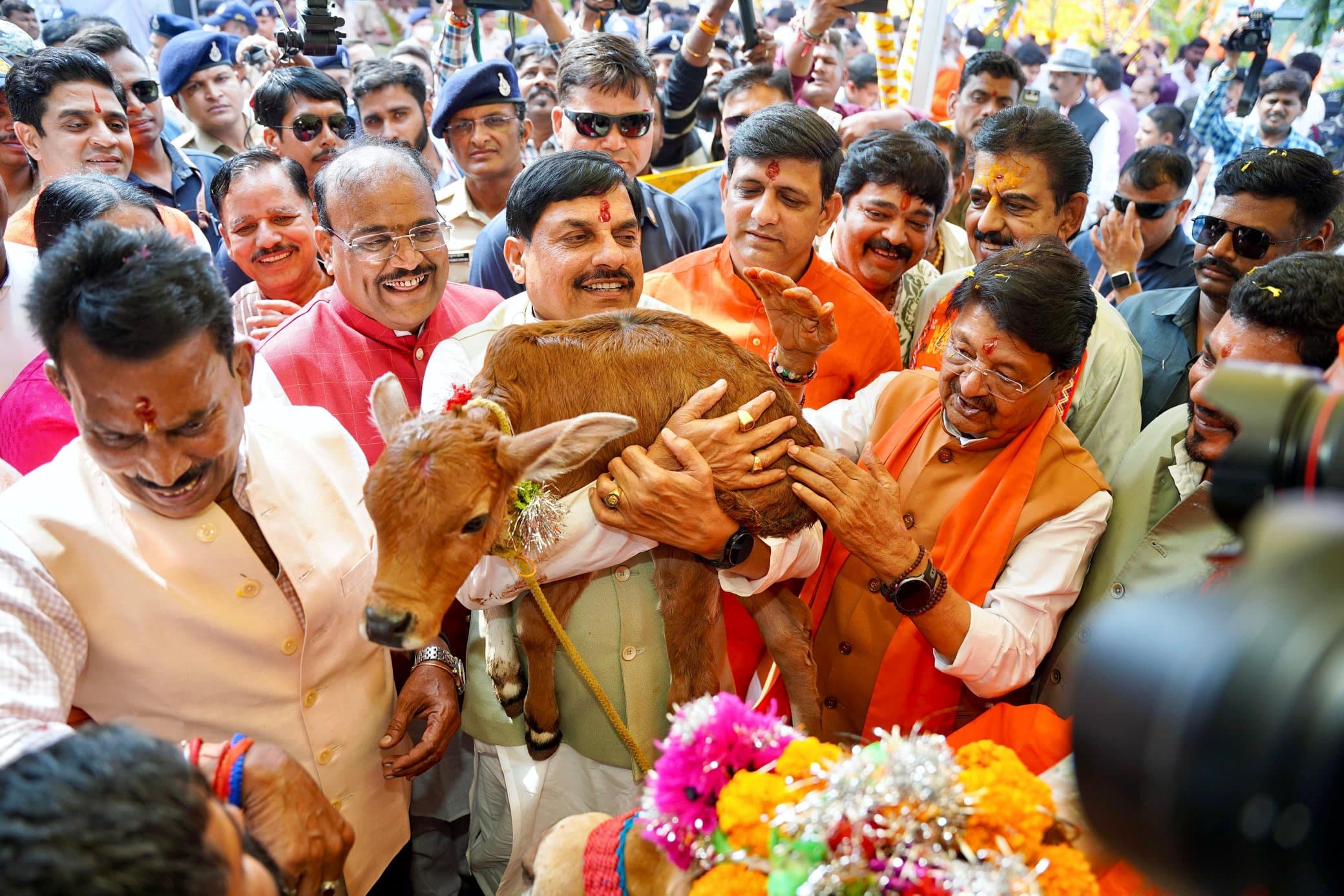 Dr Mohan Yadav News: गौ-मंदिर के रूप में विकसित की जाएंगी गौ-शालाएं.. गोवर्धन पूजा पर CM डॉ मोहन यादव का बड़ा ऐलान