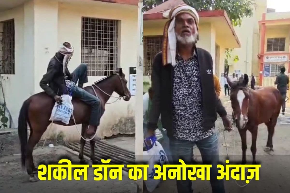 Burhanpur Viral Video : ना कार.. ना बाइक.. घोड़े की सवारी करते कोर्ट पहुंचा “शकील डॉन”, इस बड़े मामले में है आरोपी, पूछने पर बताई ये अजीबोगरीब वजह