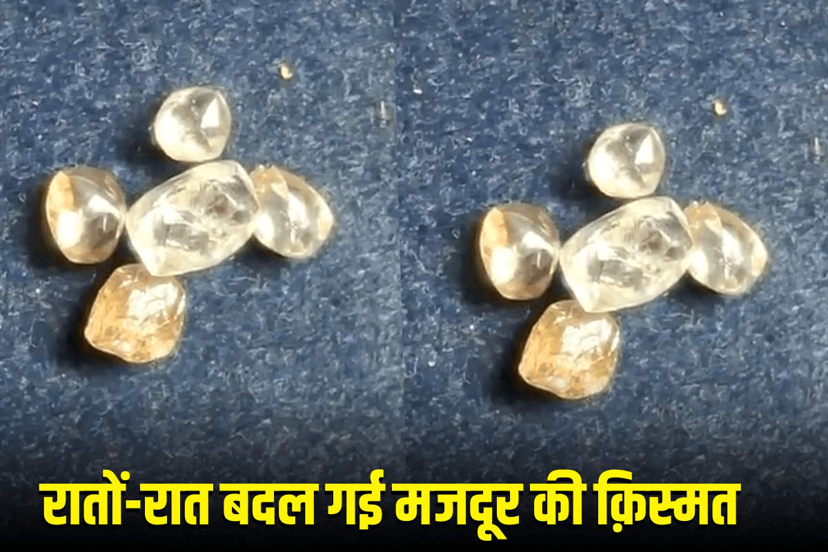 Panna News : रातों-रात बदल गई मजदूर की क़िस्मत खुदाई करते वक़्त मिली ऐसी चीज़ की बन गया लखपति …..