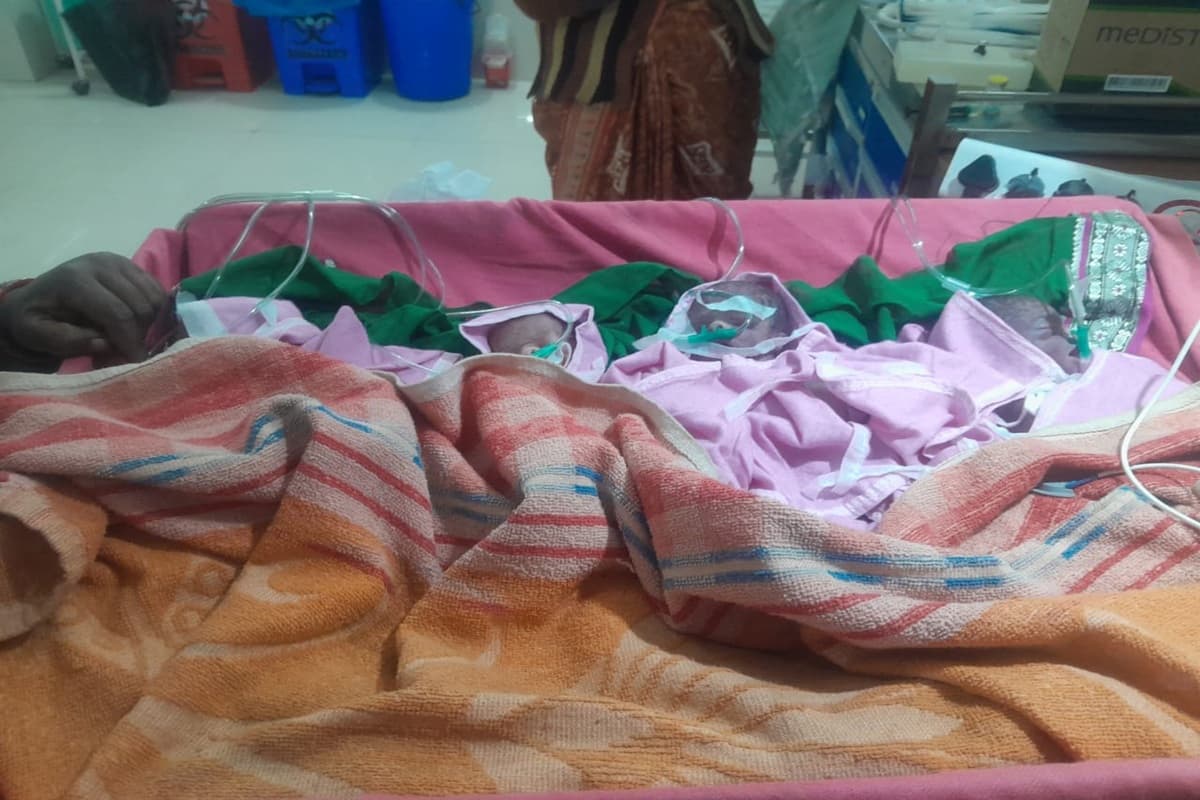 Chhindwara News: मातम में बदली परिवार की खुशियां! एक साथ जन्मे 4 बच्चों की मौत, इस वजह से गई चारों की जान