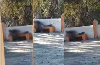 Couple Viral Video: मंदिर में कपल की अश्लील हरकत, कुर्सी पर सेक्स करते हुए आए नजर, वीडियो वायरल होते ही मचा हड़कंप, सामने आई नई बात