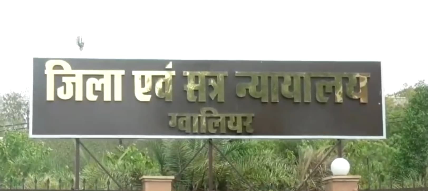 Fake Medicine in MP: मध्यप्रदेश के इस जिले में फ़ूड सप्लीमेंट लाइसेंस के बहाने बेची जा रही थीं अवैध दवाइंया, कोर्ट ने सुनाई कड़ी सजा, केंद्रीय टीम की रेड में मिले थे डरा देने वाले सुबूत