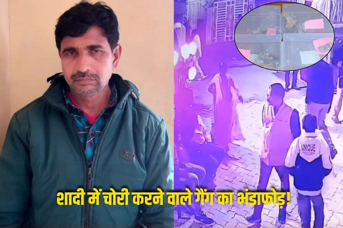 Gwalior News: शादी में चोरी करने वाले गैंग का भंडाफोड़! इतने तोले सोने गायब कर हो गए थे फरार, पुलिस के हत्थे चढ़ते ही किया बड़ा खुलासा