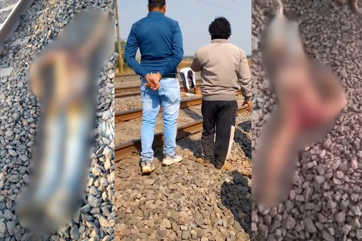 Baloda Bazar Crime News: रेलवे ट्रैक के पास मिली सिर कटी लाश! मंजर देख कांप उठे छत्तीसगढ़ के लोग, इलाके में फैली दहशत